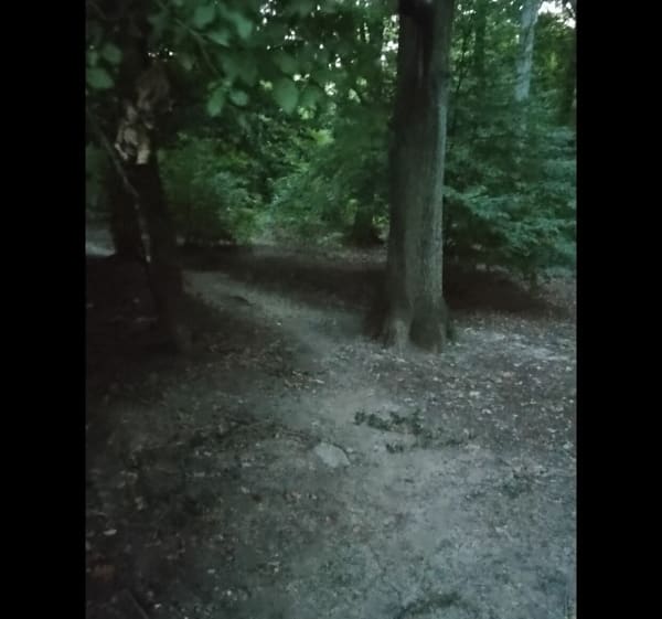 Szybka trasa i Matemblewska - Sonia - 1