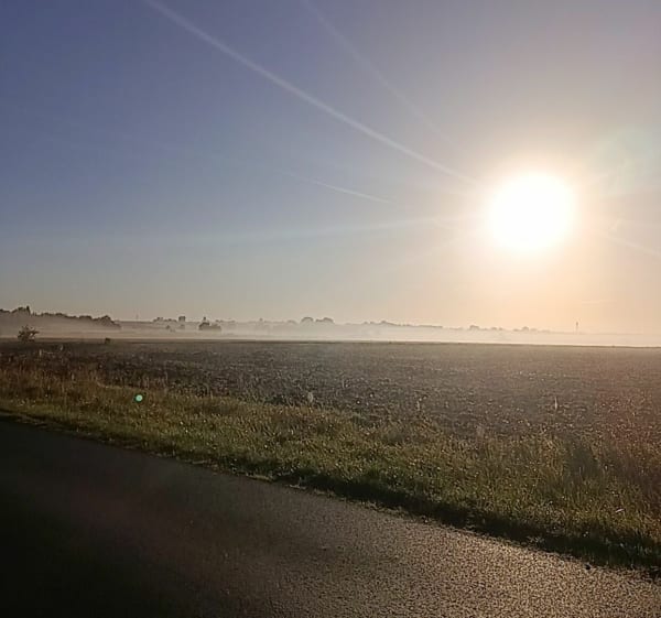 Promenade au bois du Ham - Corinne - 1