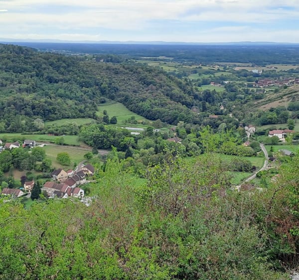 Parcours des vignes autour de Cressia - Cressia - 1