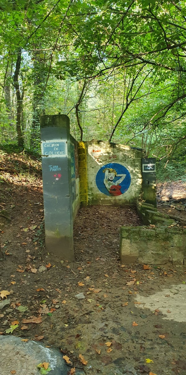Tour d'Orliénas - Marc - 1