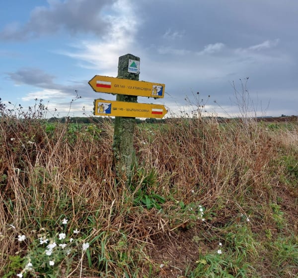Via Francigena étape 7 de Thérouanne à Amettes - Roseline - 1