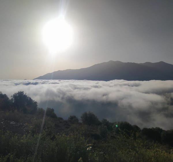 Serdinya, Refuge de Roquefumade - Serdinya - 1