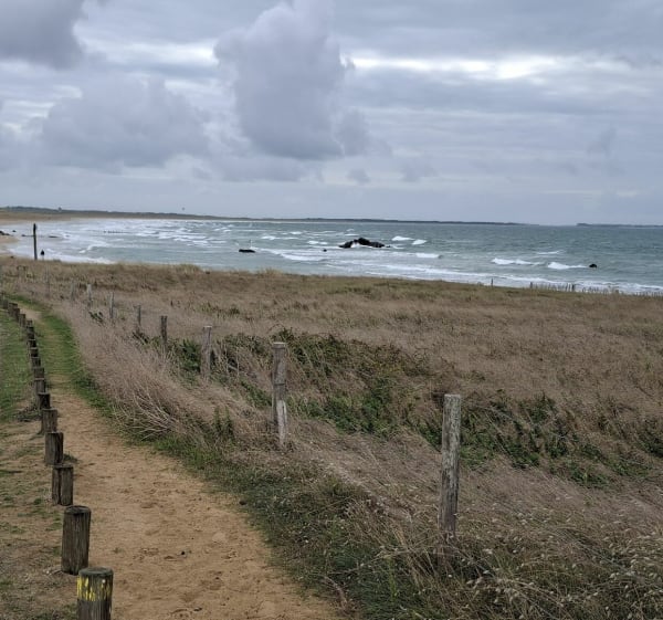 Circuit des plages d'Erdeven - Francis - 1