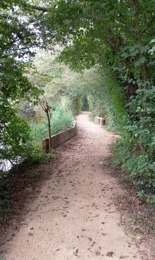 Rando verte à Saint Jean - Claude - 1