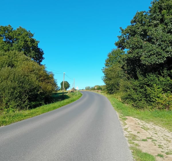 Tour jusqu'à Saint Brandan - Véronique - 1