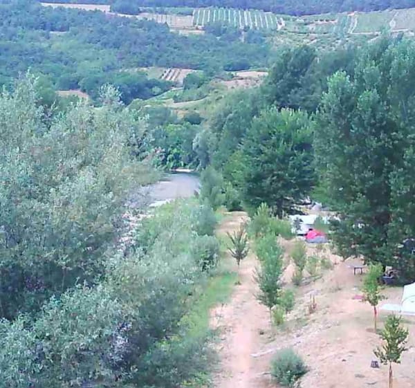 Belle balade dans le vignoble de Brossay - Cedric - 1
