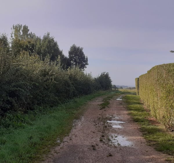 Tour de Capelle-lès-Hesdin - Capelle-lès-Hesdin - 1