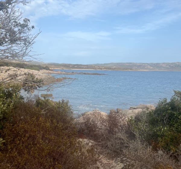 Boucle de la Punta di Ventilegne - Figari - 1