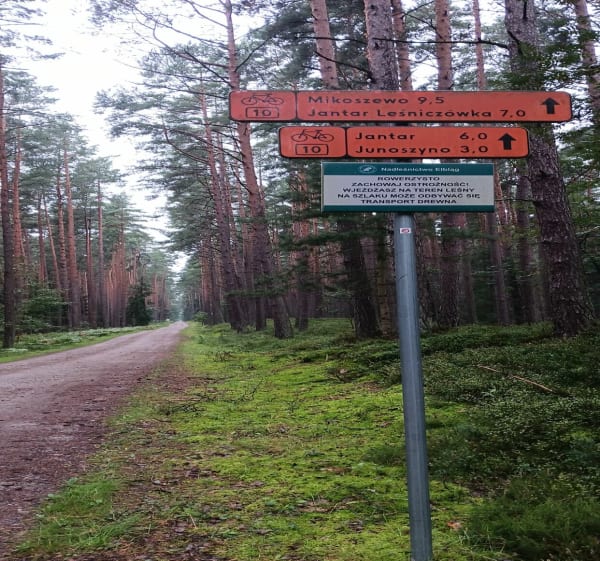 Rowerowo po lasach Stegny - Jolanta - 1