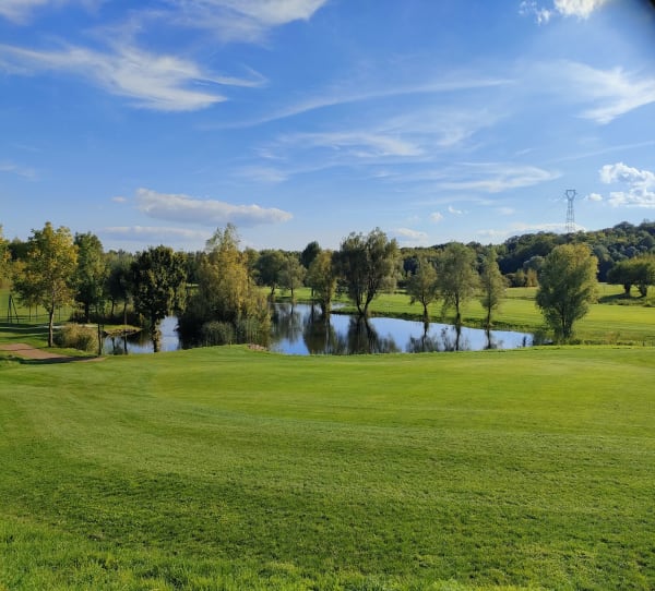 Réserve naturelle animalière le long du golf vert - MICHELE - 1
