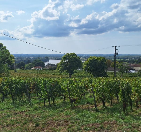 Fronsac et ses châteaux, par Capet - Fronsac - 1