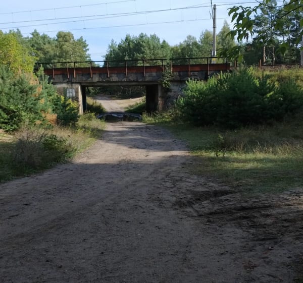 Las Gdański - Bydgoszcz - 1