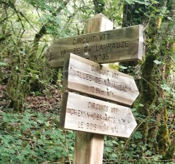 Petite boucle sur chemin et sentier forestier - Bellefont-La Rauze - 1