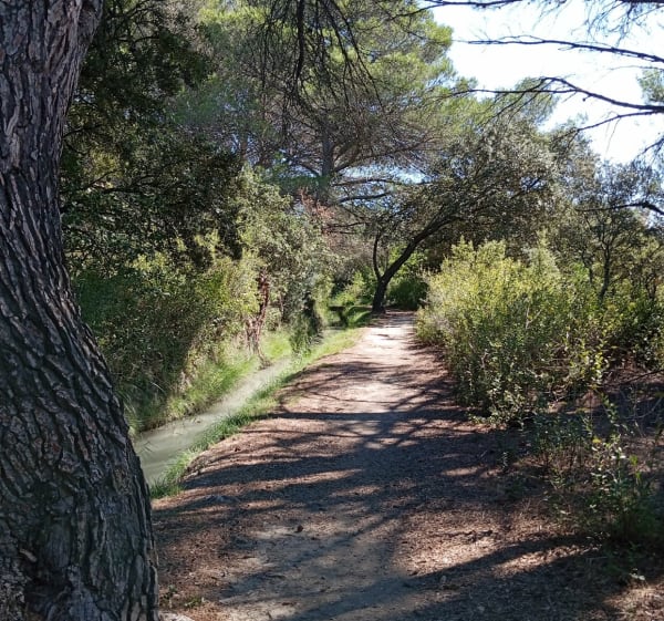 Balade dans le domaine de Cabasse par le Collet de la garde - Miramas - 1