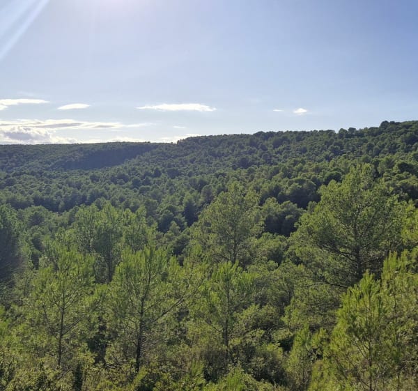 Le grand 8 avec la retenue d'eau de Villespassans - Villespassans - 1