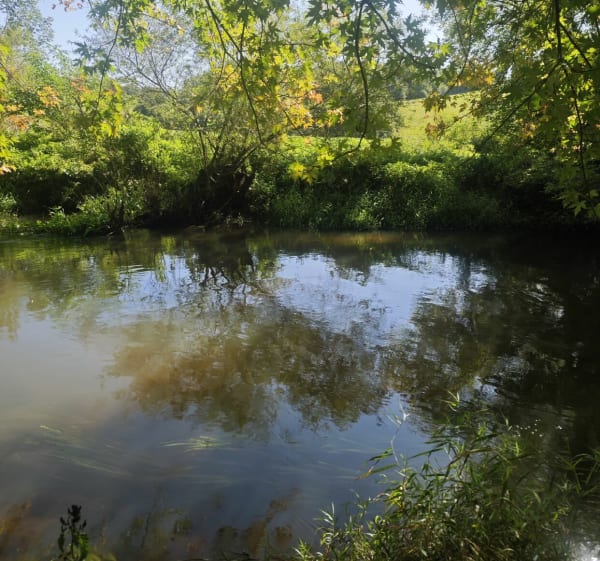 Przystanek jaskrów i Olsztyna - luke - 1