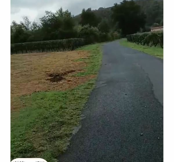 Tour de L'île de Luzech - Luzech - 1