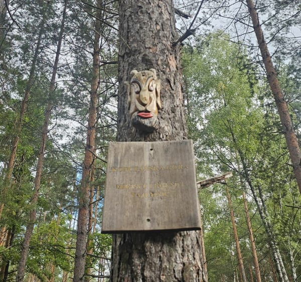 Rezerwat Imielty Ług - do torfowisk - Gierlachy - 1