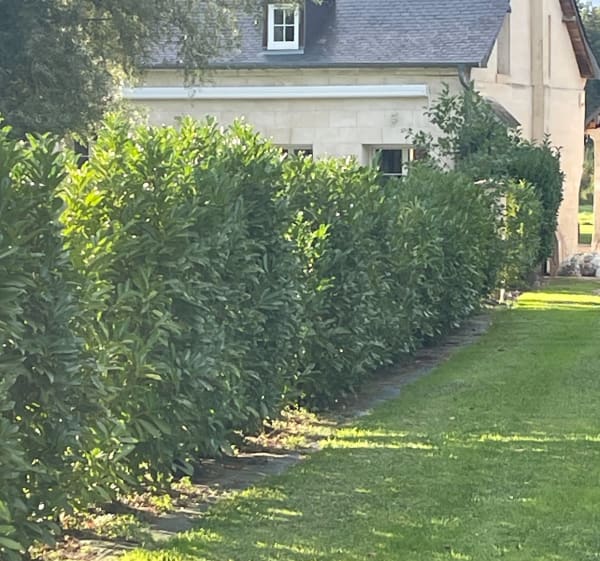Commune de Caisnes - Caisnes - 1