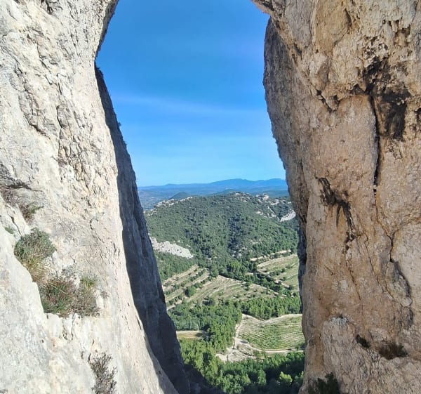 Les Dentelles de Montmirail - Gigondas - 1