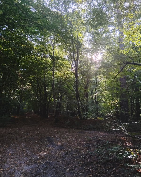 Rando à Montigny - Nicolas - 1