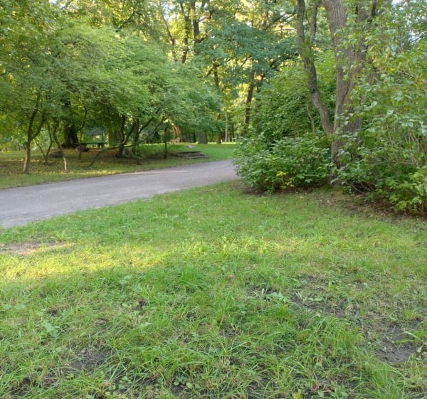 Park modrzewie - Kamila - 1