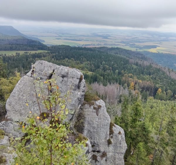 Labirynt skalny na Szczelińcu - Karłów - 1