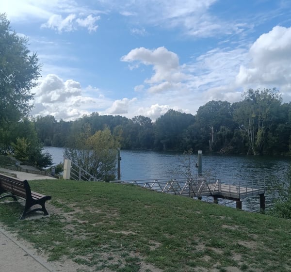 Côte à bovin - La Frette-sur-Seine - 1