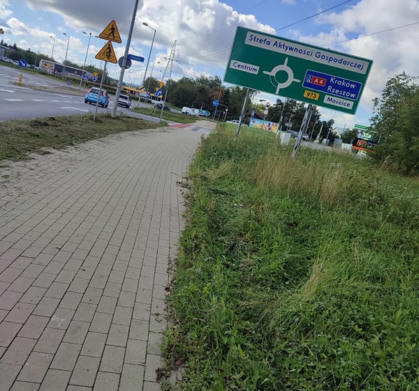 Wycieczka rowerowa - Pawel - 1
