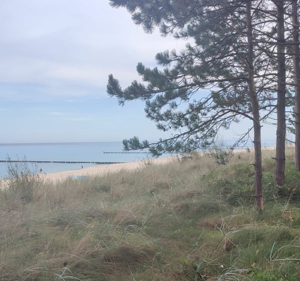 Spacer Po plaży w Chłupach - E - 1