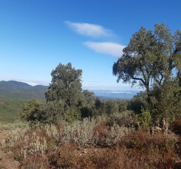 Balade autour du bois de la Gaillarde - Roquebrune-sur-Argens - 1