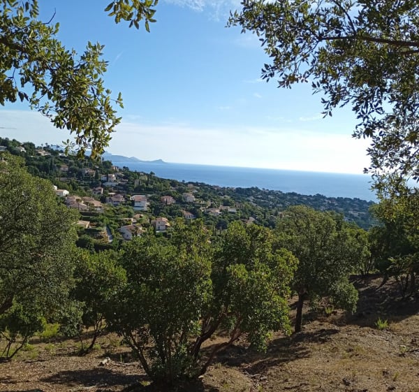 Bois de la Gaillarde vers la résidence du grand Boucharel - Fréjus - 1