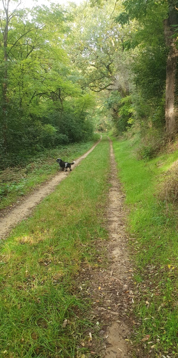 Boucle Chaponnay - cecile - 1