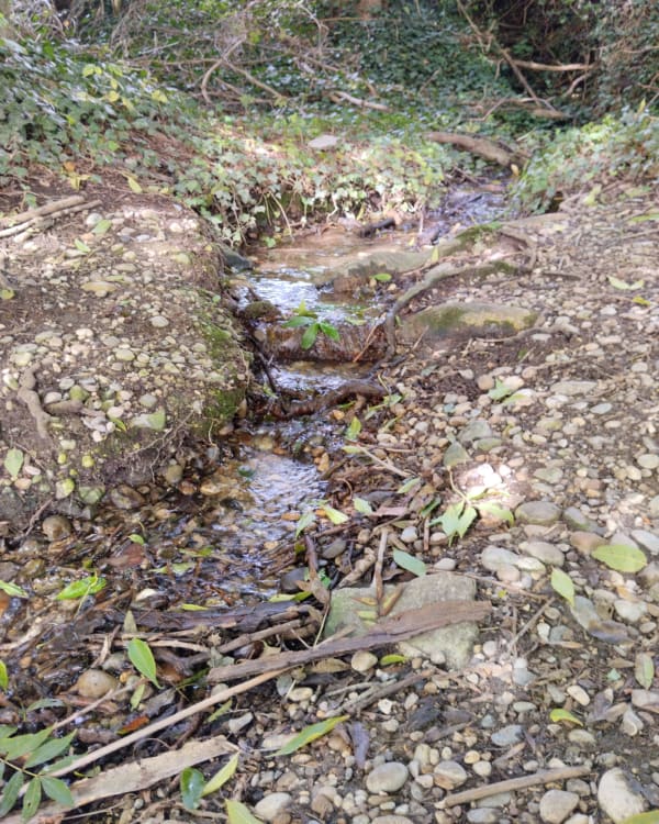 Balade autour de l'Étang de Rosière - Bourgoin-Jallieu - 1
