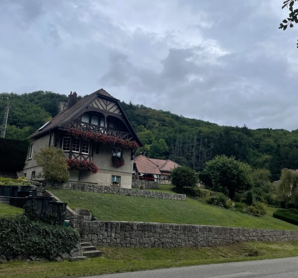Balade en forêt entre 2 châteaux - Andlau - 1