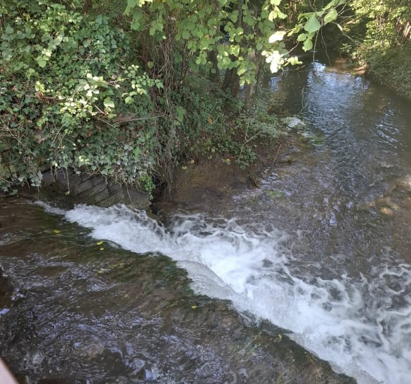 Cent fond de la source à Cîteaux à Saint-Philibert - vincent - 1