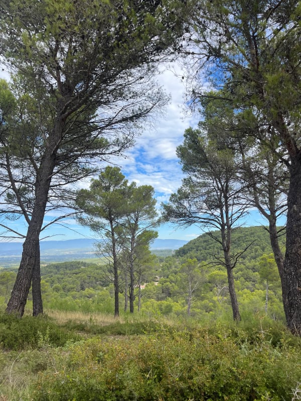 Escapade dans les bois du Gros Collet depuis Venelles - Alexia - 1