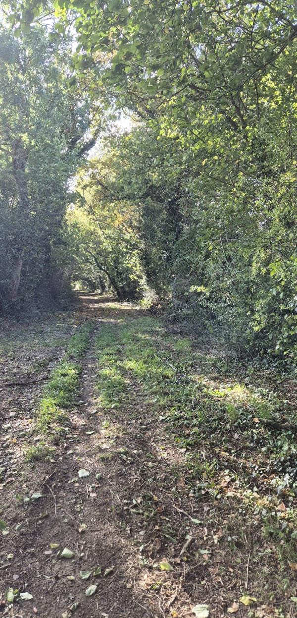 Circuit de Gennes-sur-Glaize à Longuefuye - AMELIE - 1