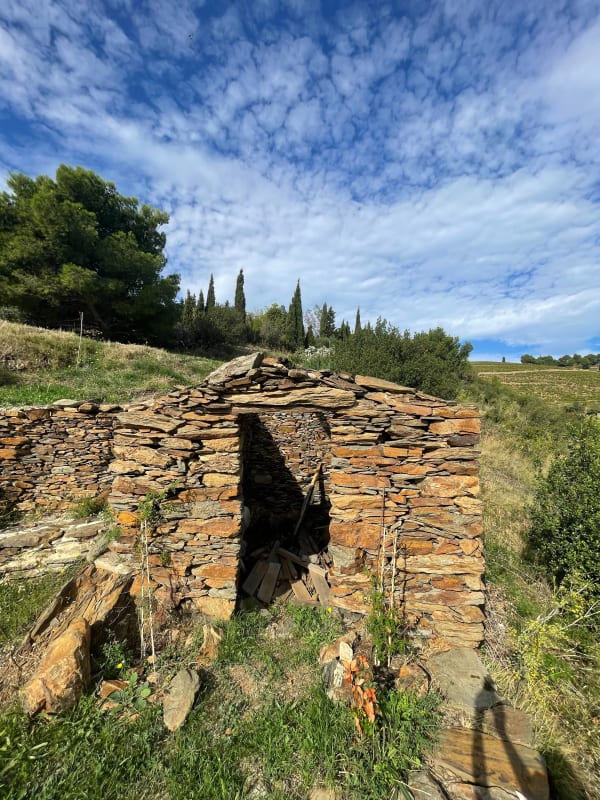Sentier de Port-Vendres et paysages colorés et lumineux - Aline  - 1