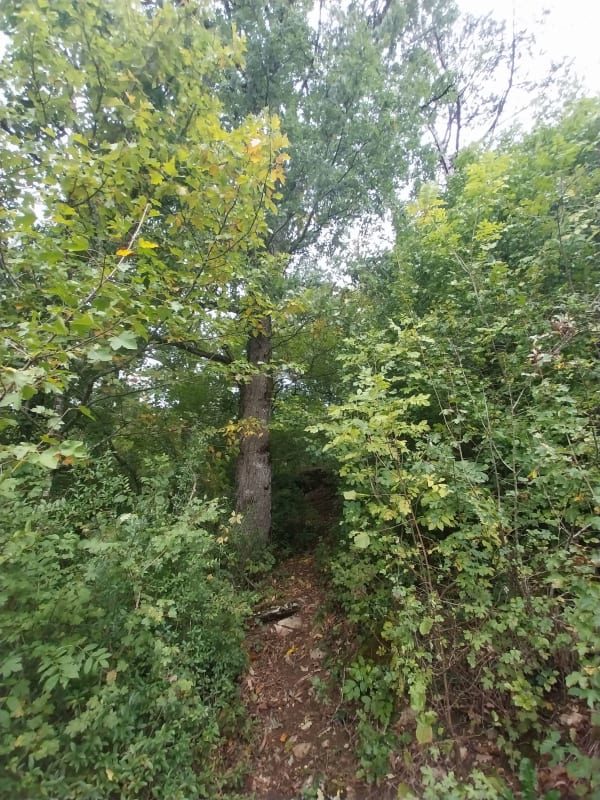 Trail des sorcières autour du Mont Chauvin - Laetitia - 1