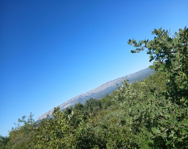 Peynier vers la plaine de la Garde et ascension boisée - Priscilla - 1