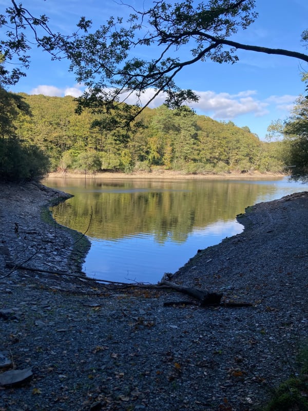 Balade au Lac de Guerlédan - Caurel - 1