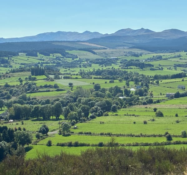 Puy de Combegrasse et Narse d'Espinasse - Martine - 1