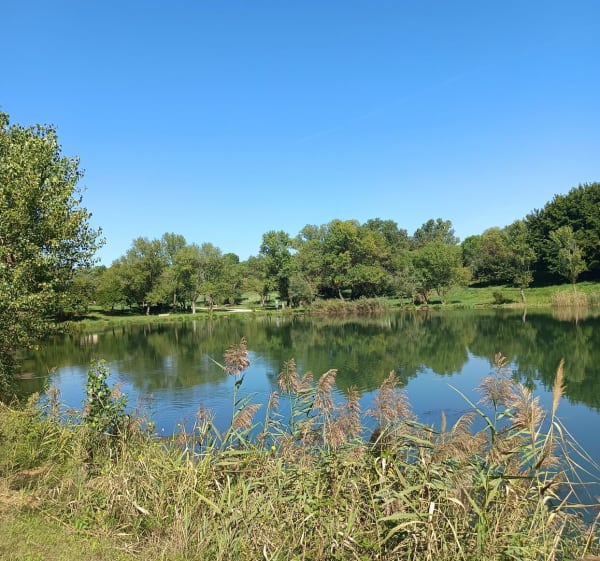 Balade vers Vallabrègues - Barbentane - 1