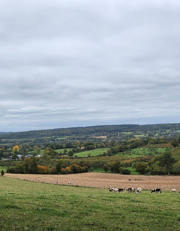 Le Torquesne et rando bucolique au cœur du bocage - Corentin - 1
