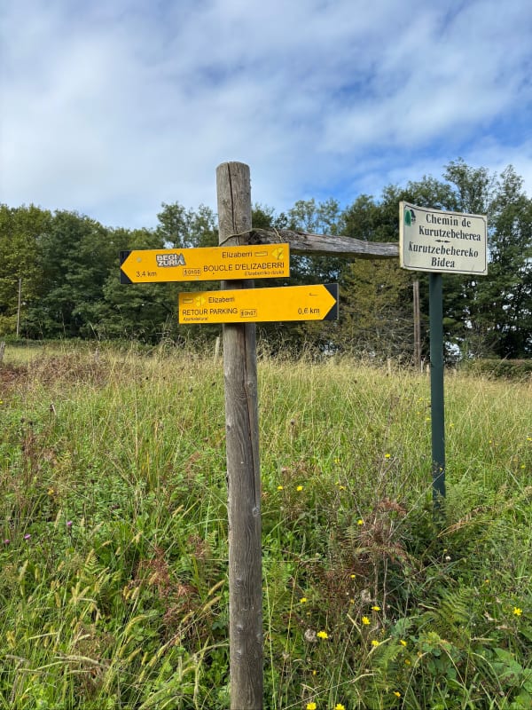 Immersion dans les bois d'Elizaberry - FRANCK - 1