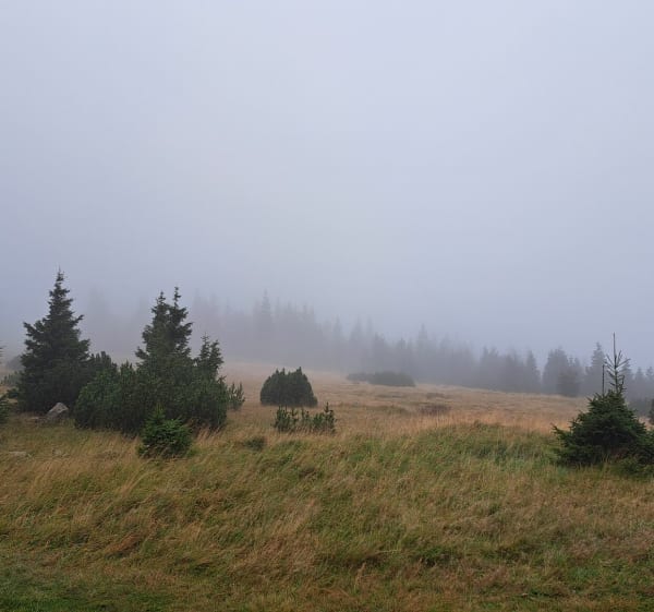 Przełęcz Karkonoska z Podgórza - Sławek - 1