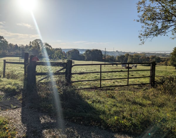 Profiter de la forêt à Argentan - Claire - 1
