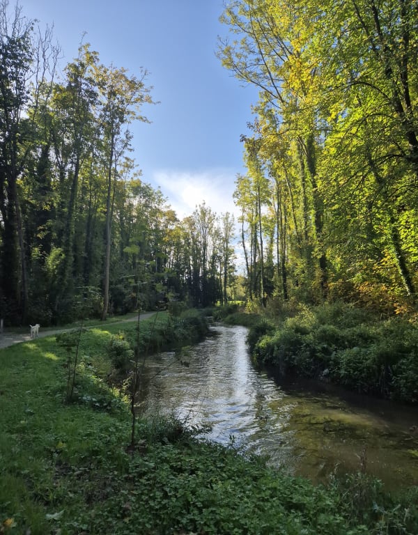 Balade le long de la Mauldre au départ de Maule - Yvette - 1