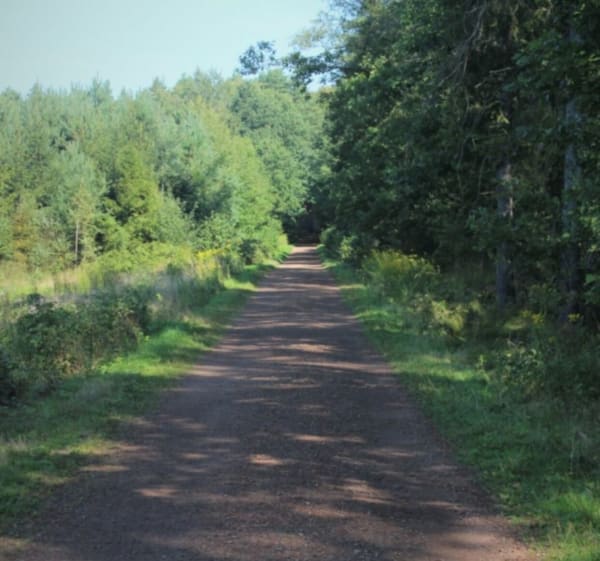 Gichta - pętla - Alicja - 1